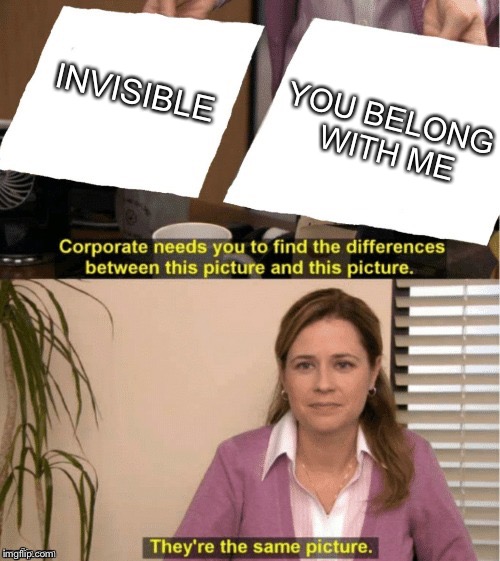 Only Swifties will understand!! | YOU BELONG WITH ME; INVISIBLE | image tagged in office same picture | made w/ Imgflip meme maker