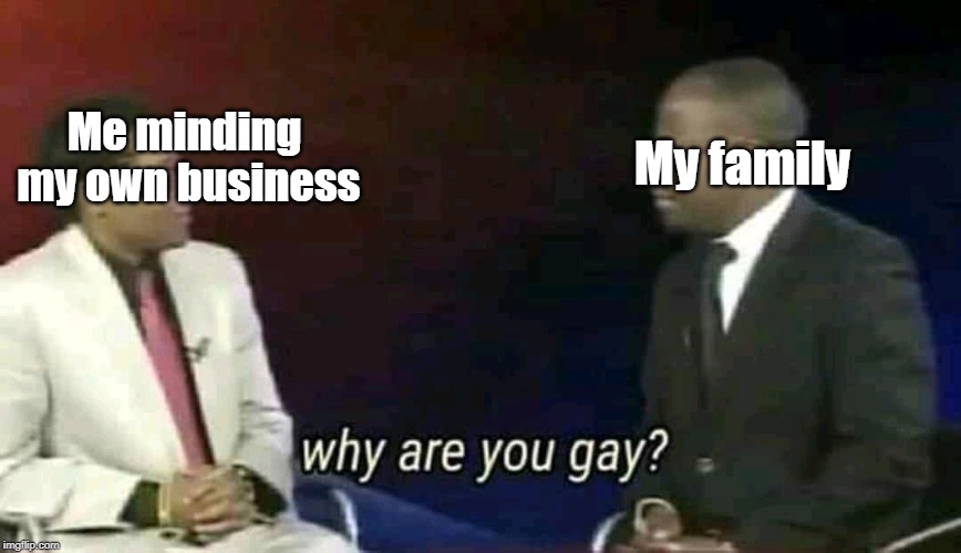 Why are you gay? | My family; Me minding my own business | image tagged in why are you gay | made w/ Imgflip meme maker