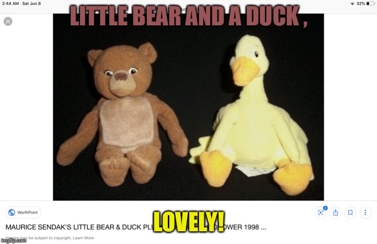Bear and duck | LITTLE BEAR AND A DUCK , LOVELY! | image tagged in bear and duck | made w/ Imgflip meme maker