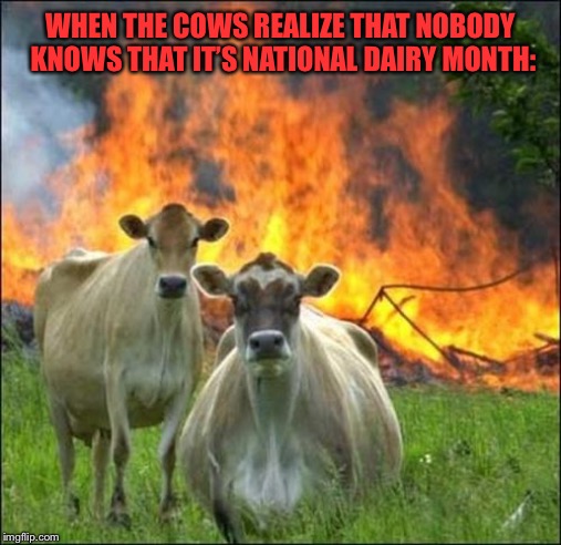 Evil Cows Meme | WHEN THE COWS REALIZE THAT NOBODY KNOWS THAT IT’S NATIONAL DAIRY MONTH: | image tagged in memes,evil cows | made w/ Imgflip meme maker