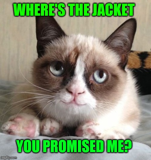 Smiling grumpy cat | WHERE'S THE JACKET YOU PROMISED ME? | image tagged in smiling grumpy cat | made w/ Imgflip meme maker