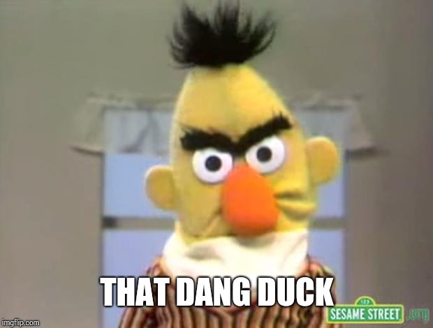 Sesame Street - Angry Bert | THAT DANG DUCK | image tagged in sesame street - angry bert | made w/ Imgflip meme maker