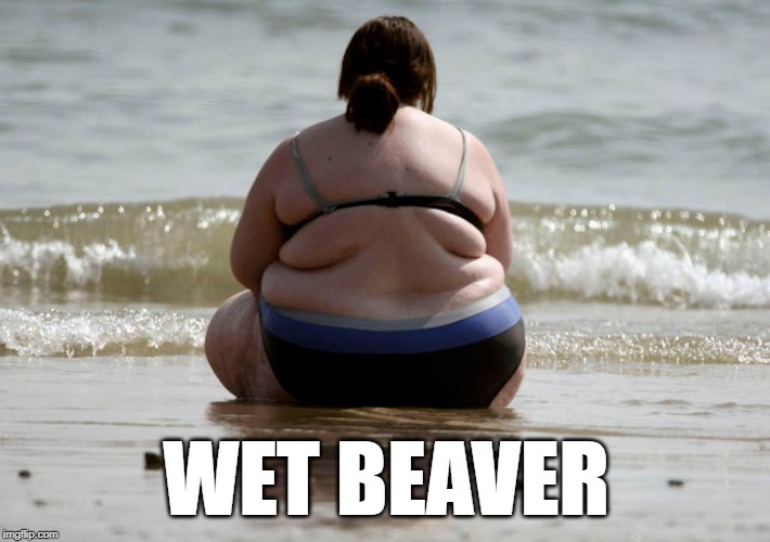 WET BEAVER | made w/ Imgflip meme maker