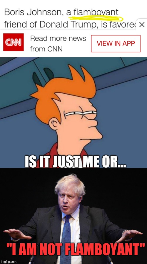 I am not the only guy who thinks Boris isn't Flamboyant. Am I? | IS IT JUST ME OR... "I AM NOT FLAMBOYANT" | image tagged in memes,futurama fry | made w/ Imgflip meme maker