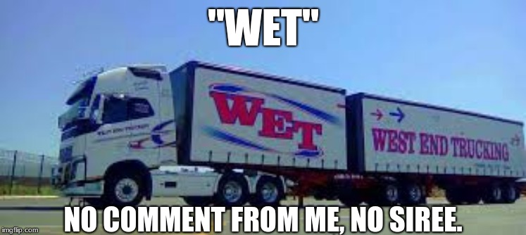 Meme is vague to avoid the dreaded NSFW, which ruin meme browsing for me. | "WET"; NO COMMENT FROM ME, NO SIREE. | image tagged in memes,funny,trucks,trucking,failure,lol so funny | made w/ Imgflip meme maker