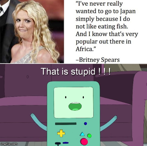 You are stupid ! | image tagged in that is stupid,b-mo,adventure time,britney spears,africa,japan | made w/ Imgflip meme maker