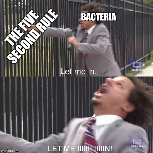 let me in | BACTERIA; THE FIVE SECOND RULE | image tagged in let me in | made w/ Imgflip meme maker