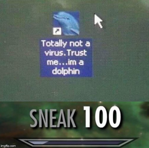 trust me im a dolphin | image tagged in memes,funny,dolphin,virus,sneak 100,sneak | made w/ Imgflip meme maker