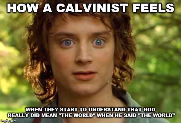 Surpised Frodo Meme | HOW A CALVINIST FEELS; WHEN THEY START TO UNDERSTAND THAT GOD REALLY DID MEAN "THE WORLD" WHEN HE SAID "THE WORLD" | image tagged in memes,surpised frodo | made w/ Imgflip meme maker