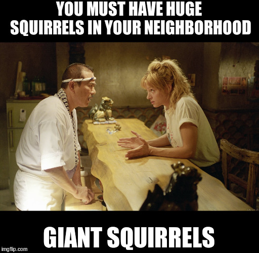Huge Rats | YOU MUST HAVE HUGE SQUIRRELS IN YOUR NEIGHBORHOOD GIANT SQUIRRELS | image tagged in huge rats | made w/ Imgflip meme maker