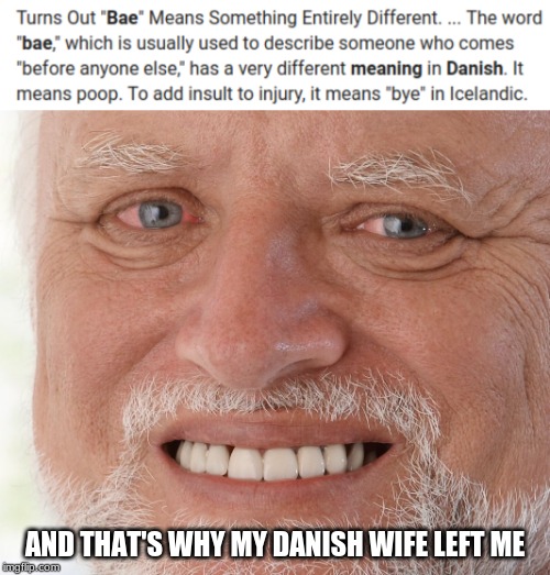  AND THAT'S WHY MY DANISH WIFE LEFT ME | image tagged in hide the pain harold | made w/ Imgflip meme maker