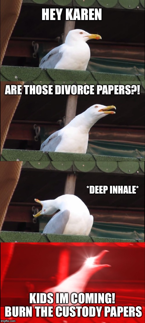 Inhaling Seagull Meme | HEY KAREN; ARE THOSE DIVORCE PAPERS?! *DEEP INHALE*; KIDS IM COMING! BURN THE CUSTODY PAPERS | image tagged in memes,inhaling seagull | made w/ Imgflip meme maker