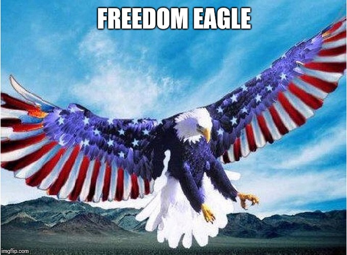 merica eagle | FREEDOM EAGLE | image tagged in merica eagle | made w/ Imgflip meme maker