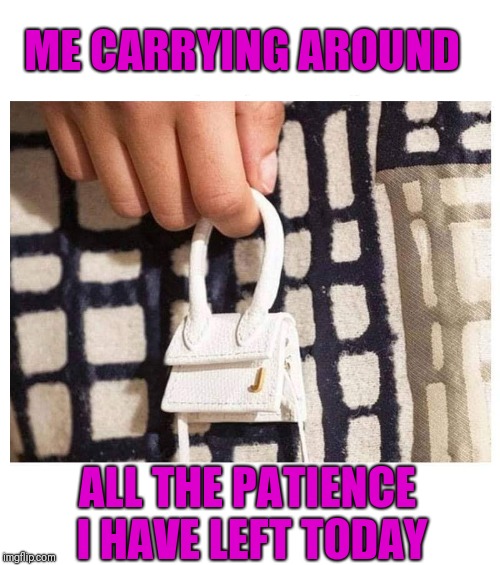 If any mom's have advice for dealing with young kids who flat out ignore you,  please share your wisdom with me. Going crazy! | ME CARRYING AROUND; ALL THE PATIENCE I HAVE LEFT TODAY | image tagged in kids,parenting | made w/ Imgflip meme maker