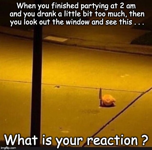 Kirby with Knife (2) |  When you finished partying at 2 am and you drank a little bit too much, then you look out the window and see this . . . What is your reaction ? | image tagged in kirby with knife 2 | made w/ Imgflip meme maker