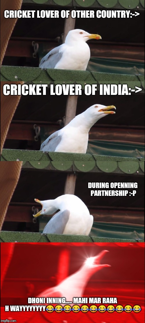 Follow me on insta#shambhu_kumar373 | CRICKET LOVER OF OTHER COUNTRY:->; CRICKET LOVER OF INDIA:->; DURING OPENNING PARTNERSHIP :-P; DHONI INNING..... MAHI MAR RAHA H WAYYYYYYYY😂😂😂😂😂😂😂😂😂😂😂 | image tagged in memes,inhaling seagull | made w/ Imgflip meme maker