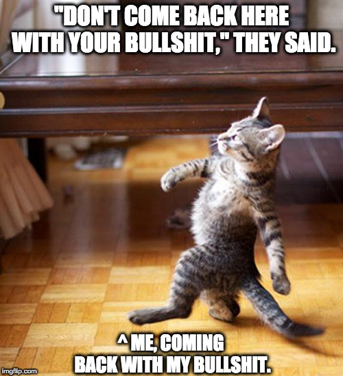strutting kitten | "DON'T COME BACK HERE WITH YOUR BULLSHIT," THEY SAID. ^ ME, COMING BACK WITH MY BULLSHIT. | image tagged in strutting kitten | made w/ Imgflip meme maker