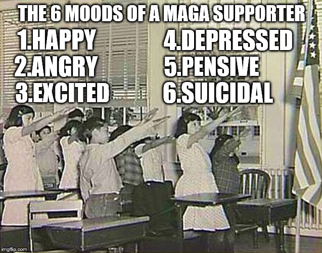 Maga nazis | 2.ANGRY; THE 6 MOODS OF A MAGA SUPPORTER; 4.DEPRESSED; 3.EXCITED; 1.HAPPY; 5.PENSIVE; 6.SUICIDAL | made w/ Imgflip meme maker