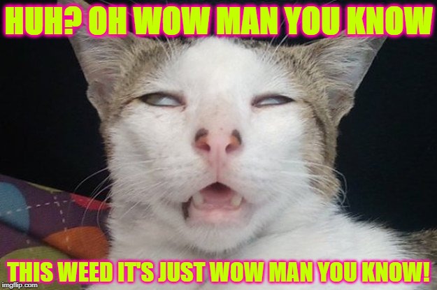 STONED | HUH? OH WOW MAN YOU KNOW; THIS WEED IT'S JUST WOW MAN YOU KNOW! | image tagged in stoned | made w/ Imgflip meme maker