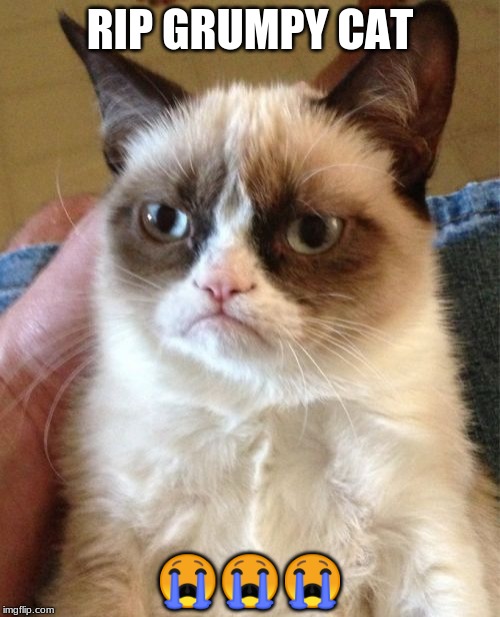 Grumpy Cat Meme | RIP
GRUMPY CAT; 😭😭😭 | image tagged in memes,grumpy cat | made w/ Imgflip meme maker