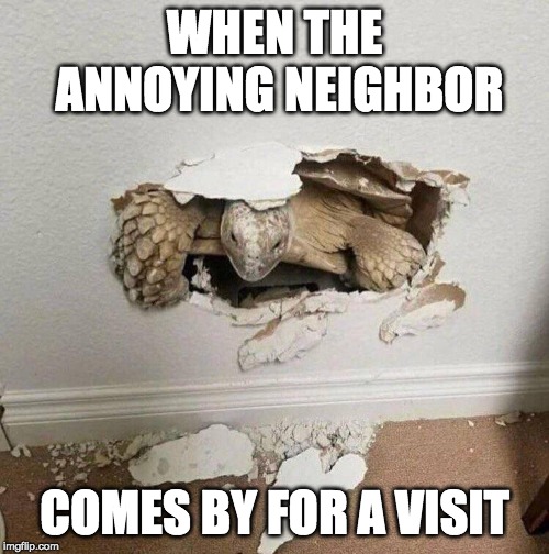 Delivering sturtling news | WHEN THE ANNOYING NEIGHBOR; COMES BY FOR A VISIT | image tagged in turtle,break on through,neighbors | made w/ Imgflip meme maker