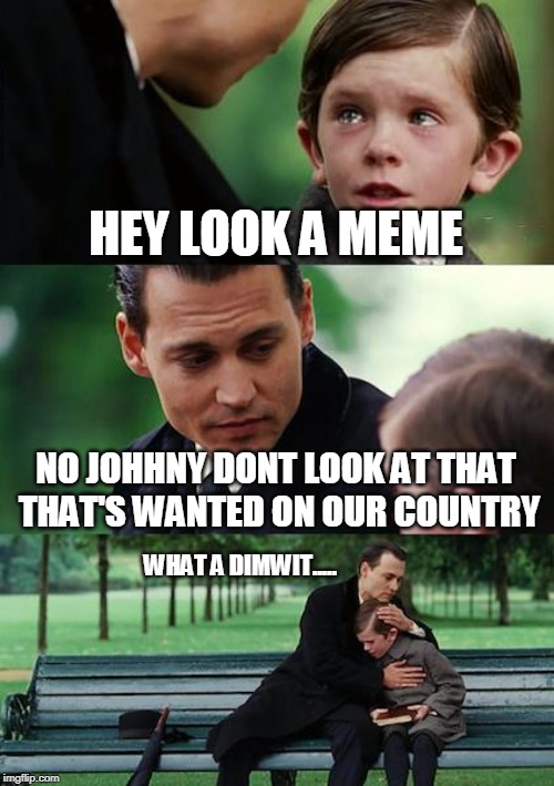 Finding Neverland Meme | HEY LOOK A MEME NO JOHHNY DONT LOOK AT THAT THAT'S WANTED ON OUR COUNTRY WHAT A DIMWIT..... | image tagged in memes,finding neverland | made w/ Imgflip meme maker