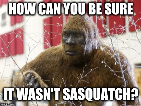 HOW CAN YOU BE SURE IT WASN'T SASQUATCH? | made w/ Imgflip meme maker