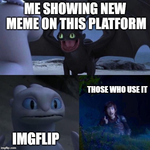 Heres some good meme | ME SHOWING NEW MEME ON THIS PLATFORM; THOSE WHO USE IT; IMGFLIP | image tagged in toothless | made w/ Imgflip meme maker