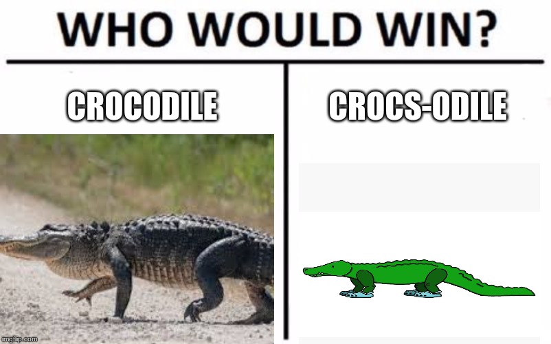 You can tell my effort is going down by the minute | CROCODILE; CROCS-ODILE | image tagged in funny | made w/ Imgflip meme maker