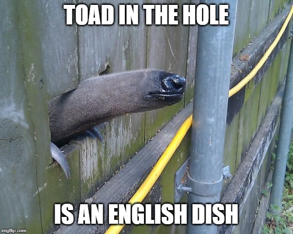 TOAD IN THE HOLE IS AN ENGLISH DISH | made w/ Imgflip meme maker