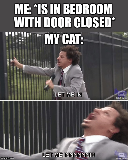 God damn it Staccato, what do you want now? | ME: *IS IN BEDROOM WITH DOOR CLOSED*; MY CAT: | image tagged in eric andre let me in meme,cats | made w/ Imgflip meme maker