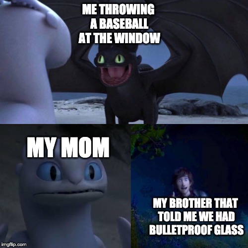 night fury | ME THROWING A BASEBALL AT THE WINDOW; MY MOM; MY BROTHER THAT TOLD ME WE HAD BULLETPROOF GLASS | image tagged in night fury | made w/ Imgflip meme maker