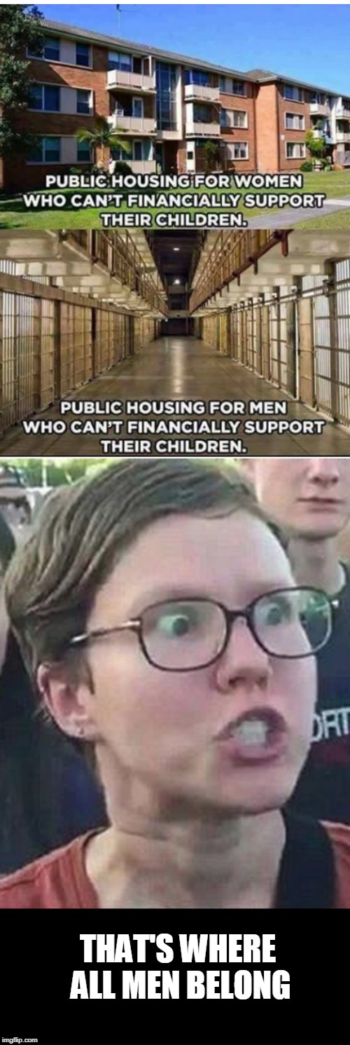 good point | THAT'S WHERE ALL MEN BELONG | image tagged in triggered liberal,feminism | made w/ Imgflip meme maker