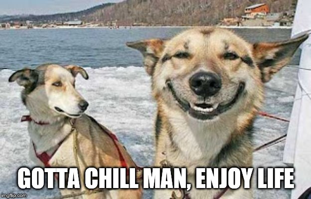Original Stoner Dog Meme | GOTTA CHILL MAN, ENJOY LIFE | image tagged in memes,original stoner dog | made w/ Imgflip meme maker