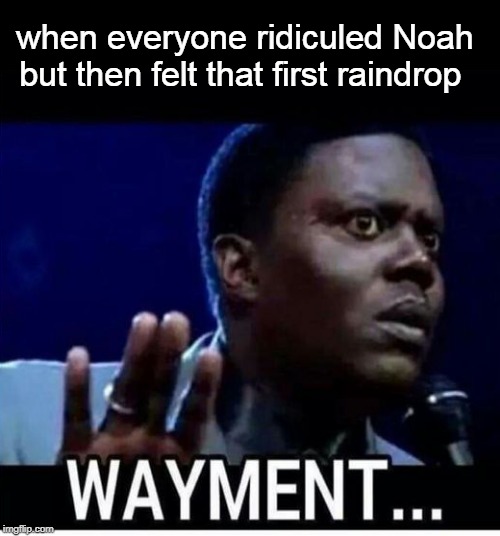 wayment | when everyone ridiculed Noah but then felt that first raindrop | image tagged in wayment,memes | made w/ Imgflip meme maker