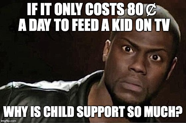 Kevin Hart Meme | IF IT ONLY COSTS 80￠ A DAY TO FEED A KID ON TV; WHY IS CHILD SUPPORT SO MUCH? | image tagged in memes,kevin hart | made w/ Imgflip meme maker