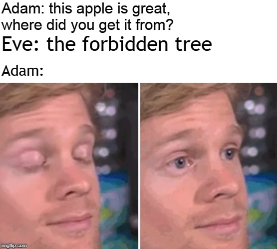 White guy blinking | Adam: this apple is great, where did you get it from? Eve: the forbidden tree; Adam: | image tagged in white guy blinking | made w/ Imgflip meme maker