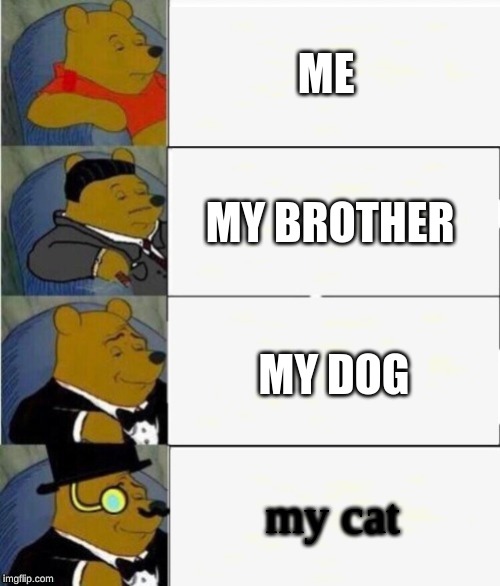 Tuxedo Winnie the Pooh 4 panel | ME; MY BROTHER; MY DOG; my cat | image tagged in tuxedo winnie the pooh 4 panel | made w/ Imgflip meme maker