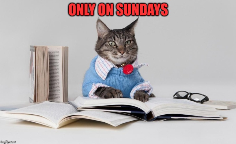 smart cat | ONLY ON SUNDAYS | image tagged in smart cat | made w/ Imgflip meme maker