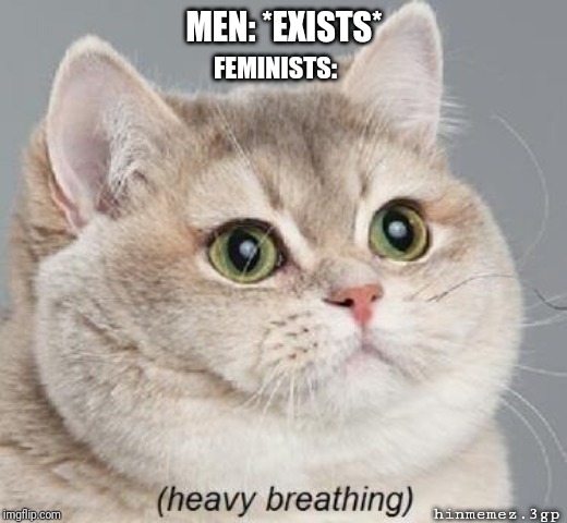 Heavy Breathing Cat | MEN: *EXISTS*; FEMINISTS:; hinmemez.3gp | image tagged in memes,heavy breathing cat | made w/ Imgflip meme maker