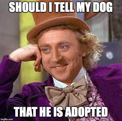 Creepy Condescending Wonka Meme | SHOULD I TELL MY DOG; THAT HE IS ADOPTED | image tagged in memes,creepy condescending wonka | made w/ Imgflip meme maker