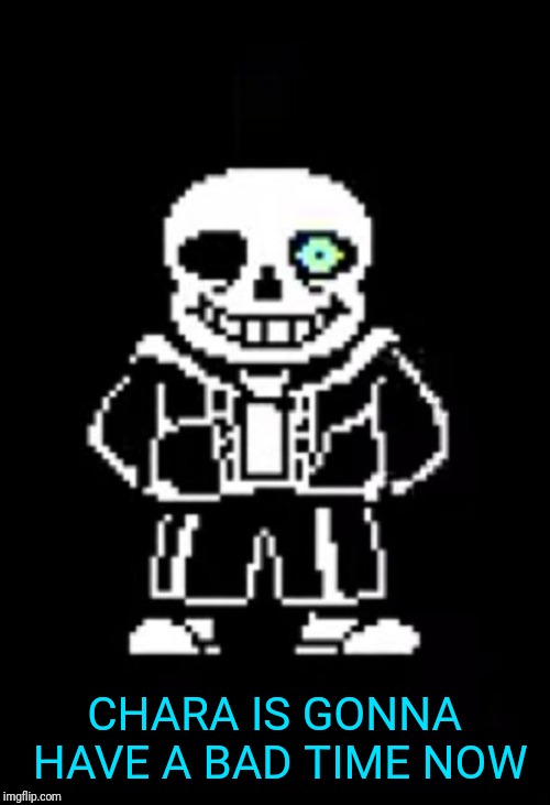 Sans the Skeleton | CHARA IS GONNA HAVE A BAD TIME NOW | image tagged in sans the skeleton | made w/ Imgflip meme maker