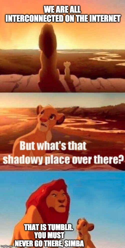 Simba Shadowy Place Meme | WE ARE ALL INTERCONNECTED ON THE INTERNET; THAT IS TUMBLR. YOU MUST NEVER GO THERE, SIMBA | image tagged in memes,simba shadowy place | made w/ Imgflip meme maker