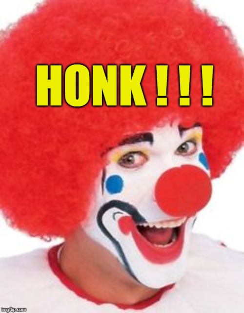 HONK ! ! ! | made w/ Imgflip meme maker