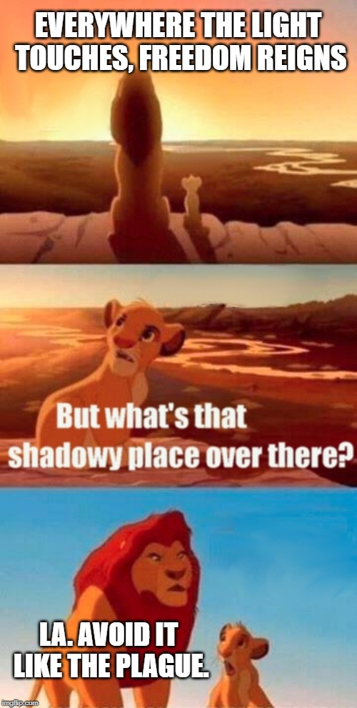 Simba Shadowy Place Meme | EVERYWHERE THE LIGHT TOUCHES, FREEDOM REIGNS; LA. AVOID IT LIKE THE PLAGUE. | image tagged in memes,simba shadowy place | made w/ Imgflip meme maker