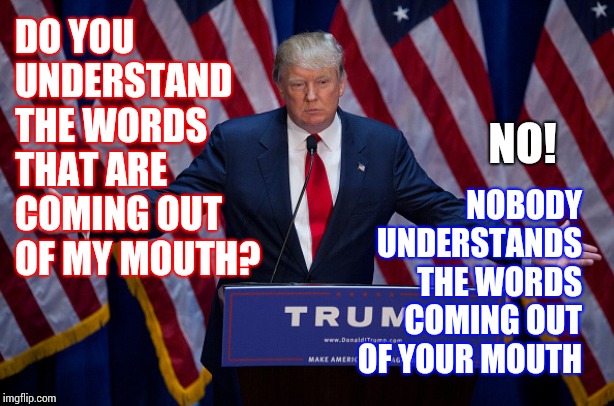 The Sound Of A Silence Would Be So Great | DO YOU UNDERSTAND THE WORDS THAT ARE COMING OUT OF MY MOUTH? NOBODY UNDERSTANDS THE WORDS COMING OUT OF YOUR MOUTH; NO! | image tagged in donald trump,trump unfit unqualified dangerous,liar in chief,obstruction of justice,memes,lock him up | made w/ Imgflip meme maker