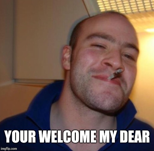Nice Guy | YOUR WELCOME MY DEAR | image tagged in nice guy | made w/ Imgflip meme maker