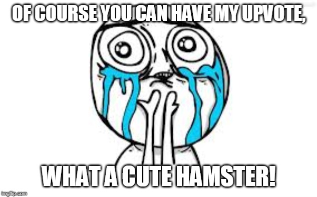 Crying Because Of Cute Meme | OF COURSE YOU CAN HAVE MY UPVOTE, WHAT A CUTE HAMSTER! | image tagged in memes,crying because of cute | made w/ Imgflip meme maker