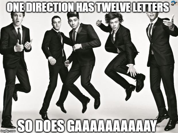 One direction | ONE DIRECTION HAS TWELVE LETTERS; SO DOES GAAAAAAAAAAY | image tagged in one direction | made w/ Imgflip meme maker
