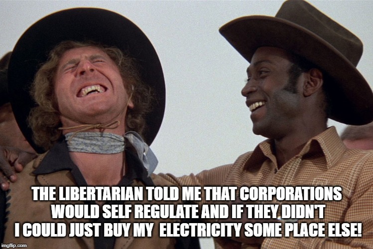 blazing saddles | THE LIBERTARIAN TOLD ME THAT CORPORATIONS WOULD SELF REGULATE AND IF THEY DIDN'T I COULD JUST BUY MY  ELECTRICITY SOME PLACE ELSE! | image tagged in blazing saddles | made w/ Imgflip meme maker